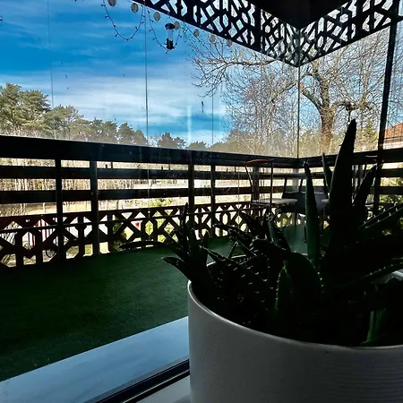 Pine Fine Terrace - 4u- 4min Apartment