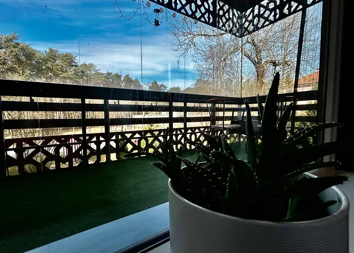 Pine Fine Terrace 4u 4min Apartment